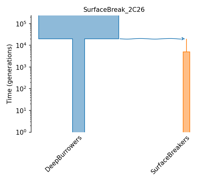 _images/sec_catalog_dhogno_models_surfacebreak_2c26.png