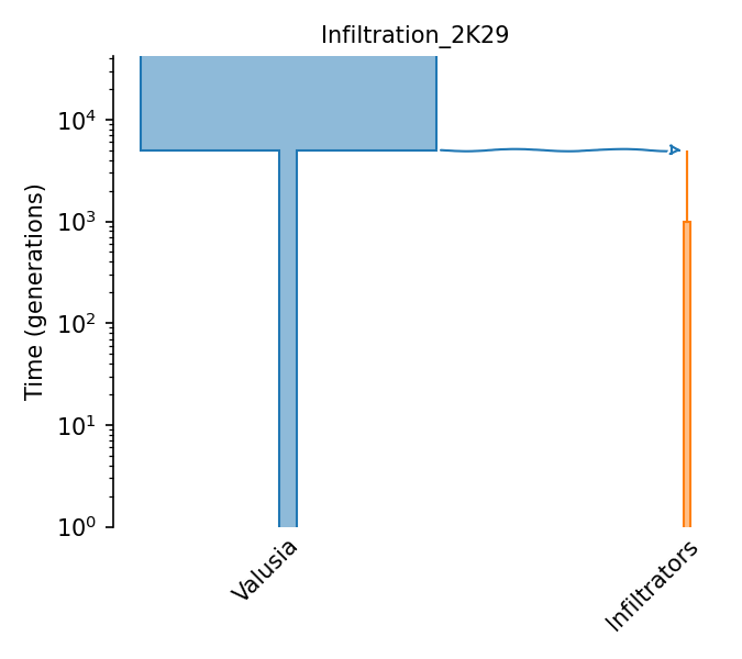 _images/sec_catalog_serhum_models_infiltration_2k29.png